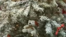 &Omega; έ&lambda;&alpha;&tau;&omicron;, &Delta;&omega;&delta;&epsilon;&kappa;&alpha;&nu;&eta;&sigma;&iota;&alpha;&kappa;ά &kappa;ά&lambda;&alpha;&nu;&tau;&alpha;.&Pi;&rho;&omega;&tau;&omicron;&chi;&rho;&omicron;&nu;&iota;ά