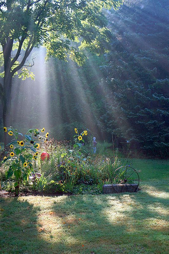 AGAPH_AMORE_Kabarnos (3)